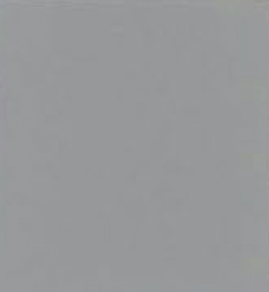 Pipeline Grey (N43)